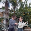 홈리홈 | 제주 함덕해변 커플펜션 감성숙소 추천 (홈리홈) feat. 함덕해변 도보 7분