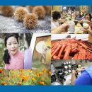 파란하늘민박 이미지