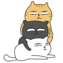 해온동물병원 이미지