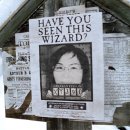 현상수배 이미지