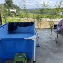 기계한우농장 이미지