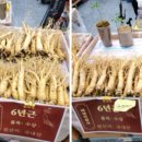 태양인삼사