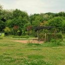 정발산공원 이미지