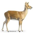 삼봉농원 이미지