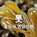 톳 효능과 영양성분 이미지