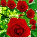 행복한하루 이미지