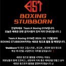 팀복싱 스터번 혁신2호점 네이버블로그