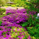 상사동로 이미지