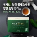 그린토탈기획
