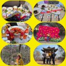 양경숙 | 남도 힐링여행 강진백련사