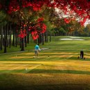 시니어 투어(Senior Tour)