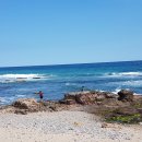 고래불 해수욕장 이미지