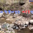 섬강공인중개사사무소 이미지