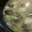 지성식당 Daum카페