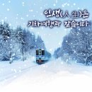 인셀덤 늘해랑 네이버블로그