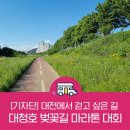 2021 언택트 대청호 벚꽃길 마라톤 대회 | 대전에서 걷고 싶은 길, 언택트 대청호 벚꽃길 마라톤 대회 하프코스
