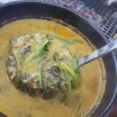 팔팔장어 이미지