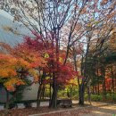 주엽공원 이미지