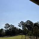 LUCIA | 호주골프 :브리즈번 골프장 세인트루시아 라운딩 후기 St Lucia golf Links
