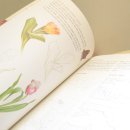 쉽게 배우는 꽃 그리기 이미지