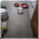 평화동006 이미지