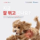 호호동물병원 네이버블로그