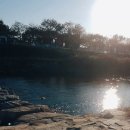 춘향스쿠터 네이버블로그