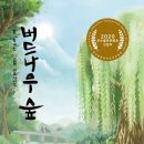 버드나무 이미지