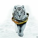 스마트폰과 포토샵활용 이미지