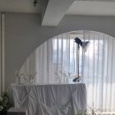 플로우 스튜디오 셀렉 솔직 후기, 소소한 추가금 방어