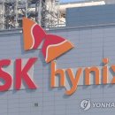 &#34;하이닉스 실수로 샀는데 환불 될까요?&#34; 증시 하락에 또 나왔네 이미지