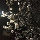 준영축산 | 조금 귀찮아 의식의 흐름 한줄 일기