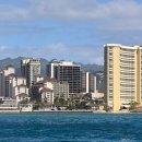 하와이 | 하와이 신혼여행 하와이 거북이 스노클링 후기(NOL 예약)