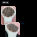 달봉냥의 꿈 이미지