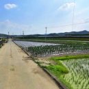 와촌 농장 이미지