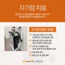 연세마디신경외과의원 | 구지 현풍 연세마디신경외과 물리치료 | 단순한 찜질이 아닙니다, 통증이 줄어드는 '진짜 이유'