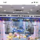 뽕 인형뽑기 네이버블로그
