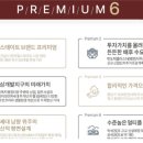 역삼시니어하우스 이미지