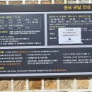 하늘종묘 | 🏛️서울 종묘 평일 자유 관람 후기: 조선의 혼이 깃든 고요한 시간 여행 (정전/신주/관람꿀팁)