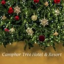 캠퍼트리호텔앤리조트 이미지