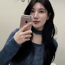 동물에반하다동물병원 | 봄맞이 머리 변신! 드디어 인생 미용실 찾았다!