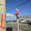 관성솔밭해변 이미지