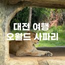 코끼리충전소(주) | [대전여행] 아이랑 가볼만한곳 대구근교 사파리 | 오월드 주말방문후기 (입장권구매, 주차꿀팁)
