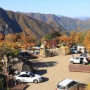 호수산장 관광농원 이미지