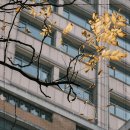법무법인율재 - 남양주시 다산중앙로82번안길 160 | 법무법인율재