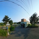 개덩이네 하우스 이미지