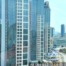 생명나무공인중개사사무소 이미지