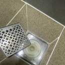 에스엠에스빌딩 | 양천구 목동 신월동 고양이털 많은집 입주청소 후기