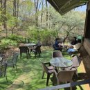 (주)하나팜 | [내돈내산] 성남 사송동 도심 속 힐링 카페 '크레마팜' 추천 빵, 주차, 가격 등 솔직후기