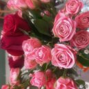 Aria di Festa(축제의노래)Milva(밀바) 이미지